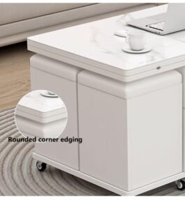 Space‑Saving Lift Top Coffee Table | Hidden Storage & Modular Design.Contemporary small-space coffee table featuring a unique rock plate design.