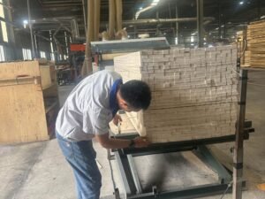 Modern multi-functional bed with built-in wardrobe made of high-quality plywood, combining storage, comfort, and sleek design for contemporary interiors.