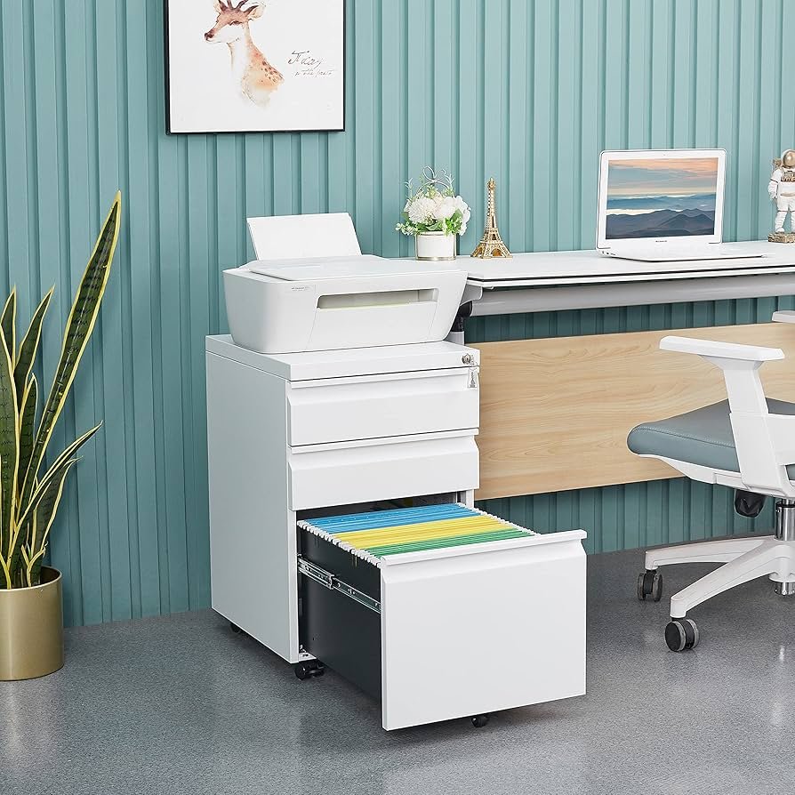 Lockable Filing Cabinet with Secure Storage