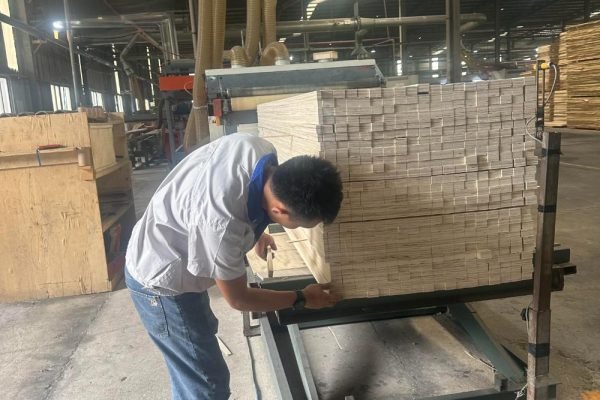 Modern multi-functional bed with built-in wardrobe made of high-quality plywood, combining storage, comfort, and sleek design for contemporary interiors.